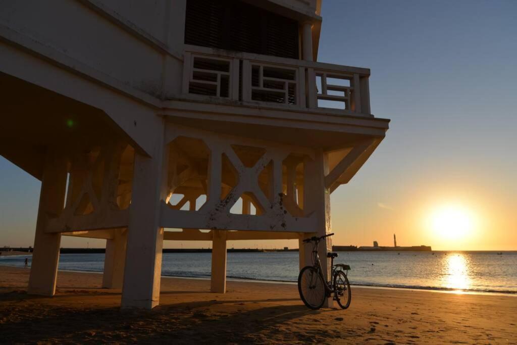 Esencia de Cádiz Entre la Viña y el mercado Exterior foto