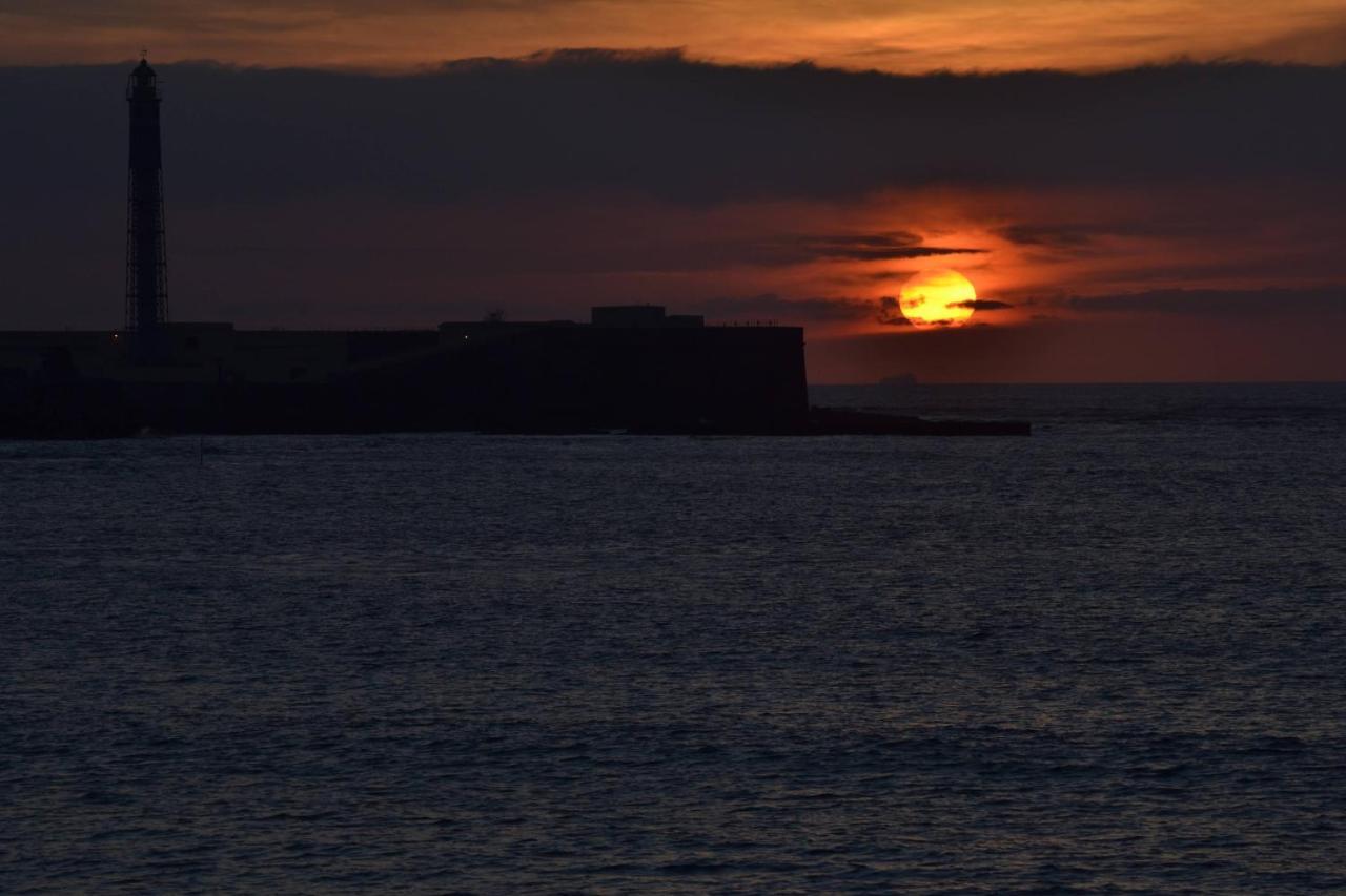 Esencia de Cádiz Entre la Viña y el mercado Exterior foto